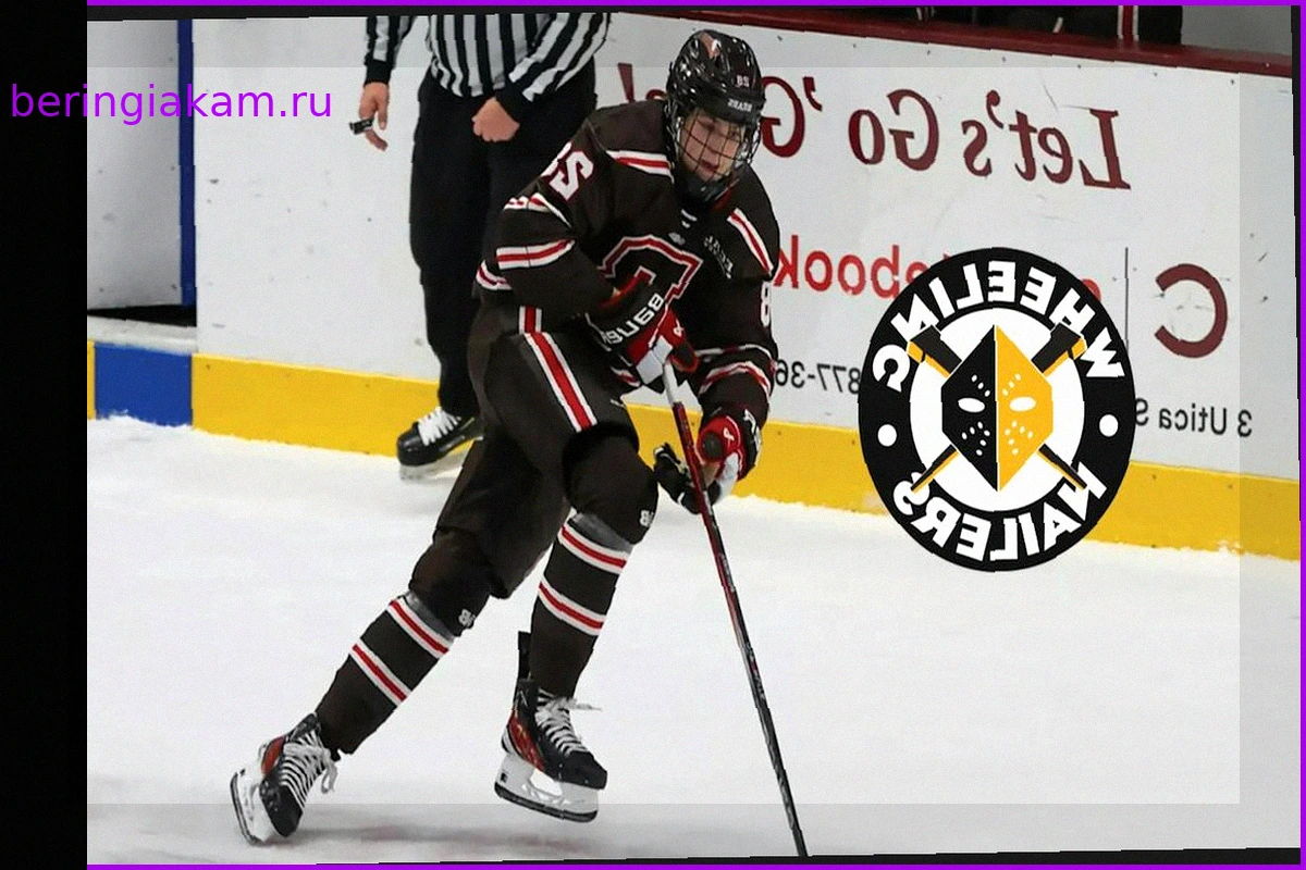 Таннер Хартман заключил контракт с Wheeling Nailers