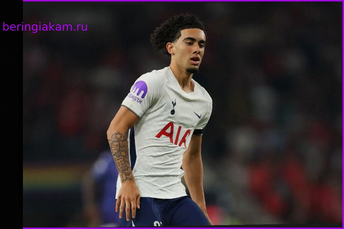 Борьба за талант Spurs: Бавария, Дортмунд и клубы АПЛ в гонке