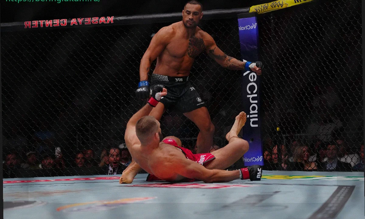 Ульберг назвал победителя боя Анкалаев — Прохазка